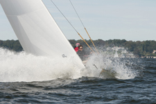 Winnie of Bourne Concordia #11 Winnie of Bourne