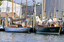 Saxon and Nightshade Concordia #14 Saxon