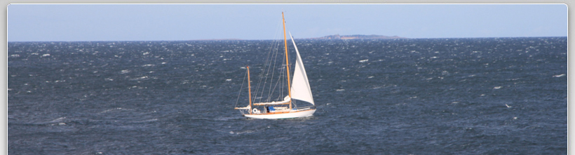 Concordia