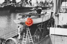 A&R 5105 Concordia #44 Lacerta